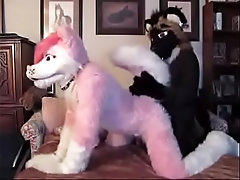 yiff FURRY
