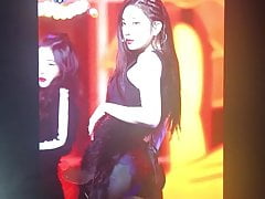 Red Velvet Joy cum tribute