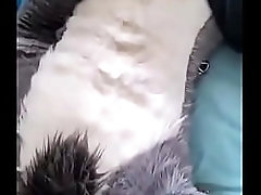 Fursuit gozando muito