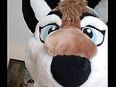 Video de v&eacute_rification