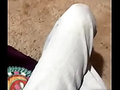 V&iacute_deo de verificaci&oacute_n