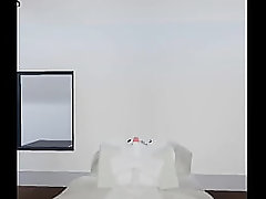 Lobo se deja dar Por conejo