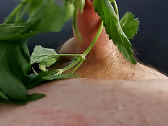 Masturbating my small cock with nettle in riding leggings.