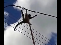 Zanotelli tentando dar pro Diego