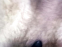 Peludo masturbando o &acirc_nus, gemendo alto e assistindo porn&ocirc_, ejaculando precoce no final (Use fone gemido alto)