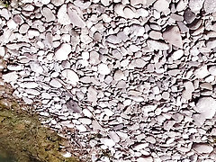 Natural nude sissy by river