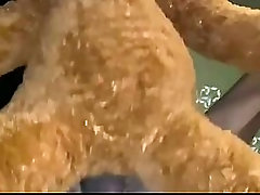 Fucking my teddy bear until I give it milk.
