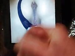 videoTribute and please repost back or e-mail us