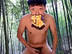 boy cum chinese Masturbating eat fine Shèjīng Ejaculation field, open land USA japan gay china bamboo woods university student