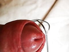 Cbt mit einem Quirl die Vorhaut bespielt.