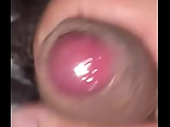 Pekesho1620 - update #10 - B161a47f-21c8-4c25-b994-6c5d46c0ef95 - Feb 21, 2025