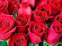 Mature Bangladeshi gay action with Desi Mazaa