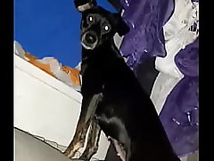 Ověřovac&iacute_ video