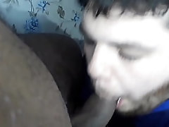 Dois Ursos Transam Depois Do Jogo de Futebol Parte 1