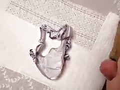 Du bon jus de gendre Pour les dessous de belle maman