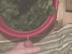 jerking off in the bath