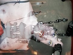 Mariangela splendida troia