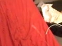 Grosse ejac dans ma chambre d etudiant