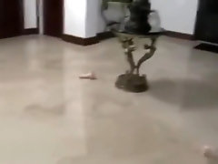 College gay white ass and teen 18+ gay Step brother and college teacher student 18+