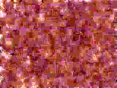 Horny homemade gay movie with Doggystyle, Group Sex scenes