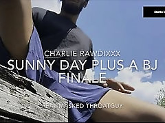 Public outdoor blowjob by the pier