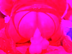 Anal training session with a thick booty twink deeply stretching his hole