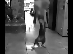 V&iacute_deo de verificaci&oacute_n