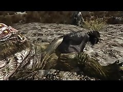 Skyrim Wolf and troll gay edition