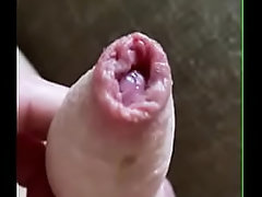 Neostinydick - chat content #1 - JICF3977 - Dec 26, 2024