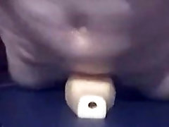 amateur bud playing with toy at home