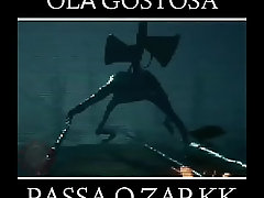 V&iacute_deo de verifica&ccedil_&atilde_o